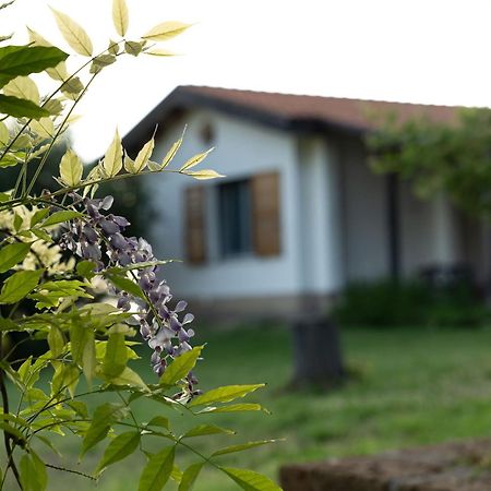B&B La Figuretta Jesi Esterno foto