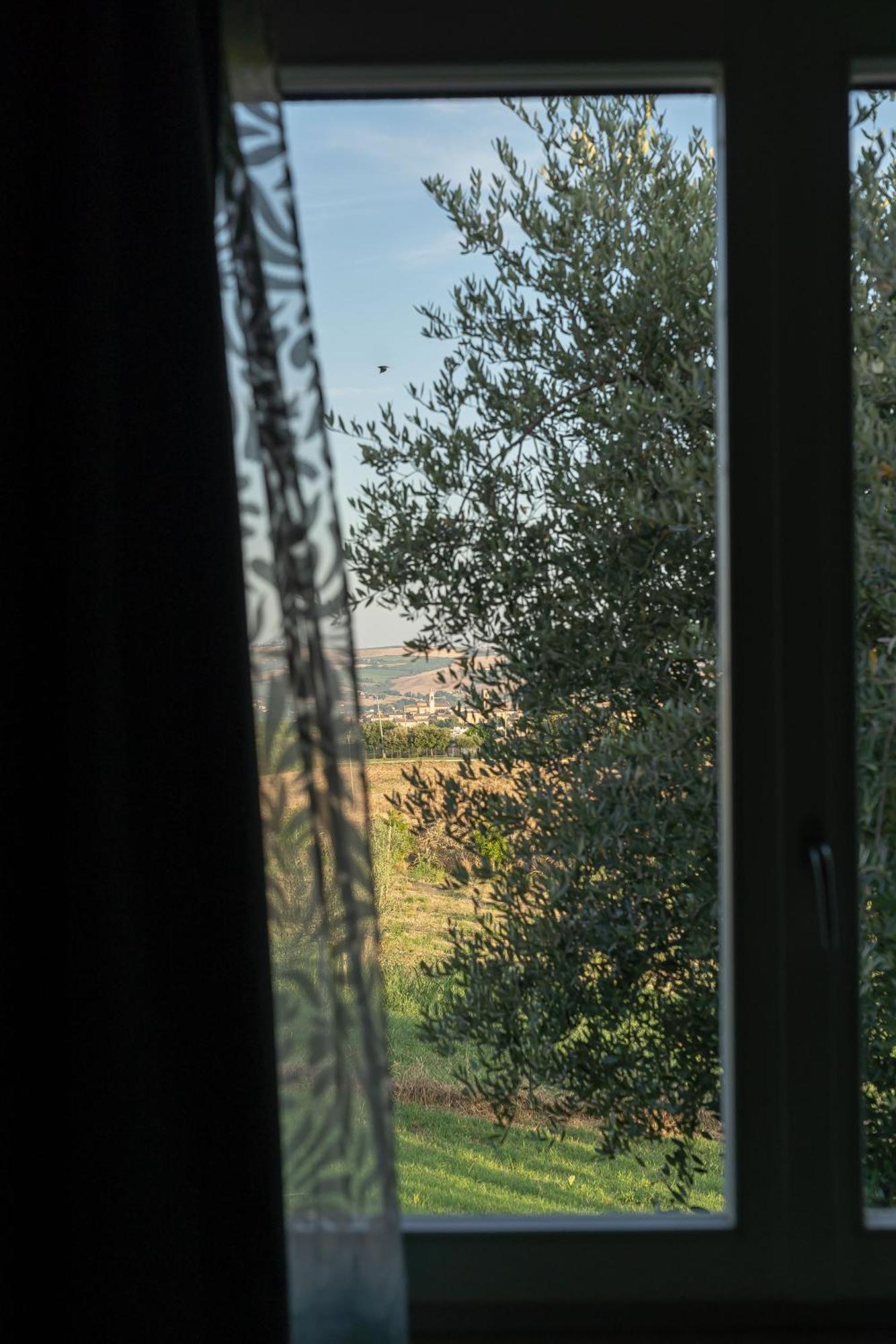 B&B La Figuretta Jesi Esterno foto
