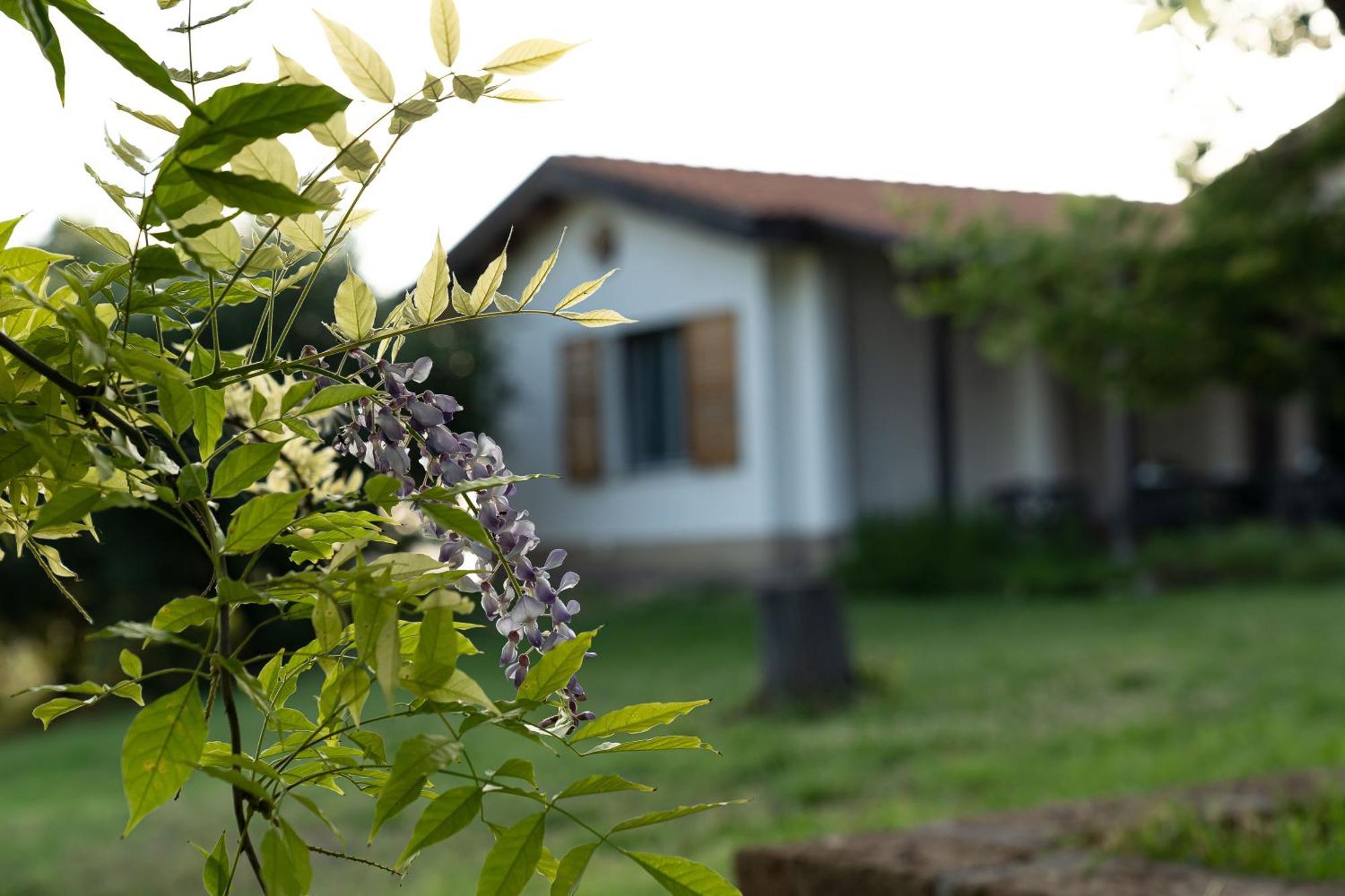 B&B La Figuretta Jesi Esterno foto