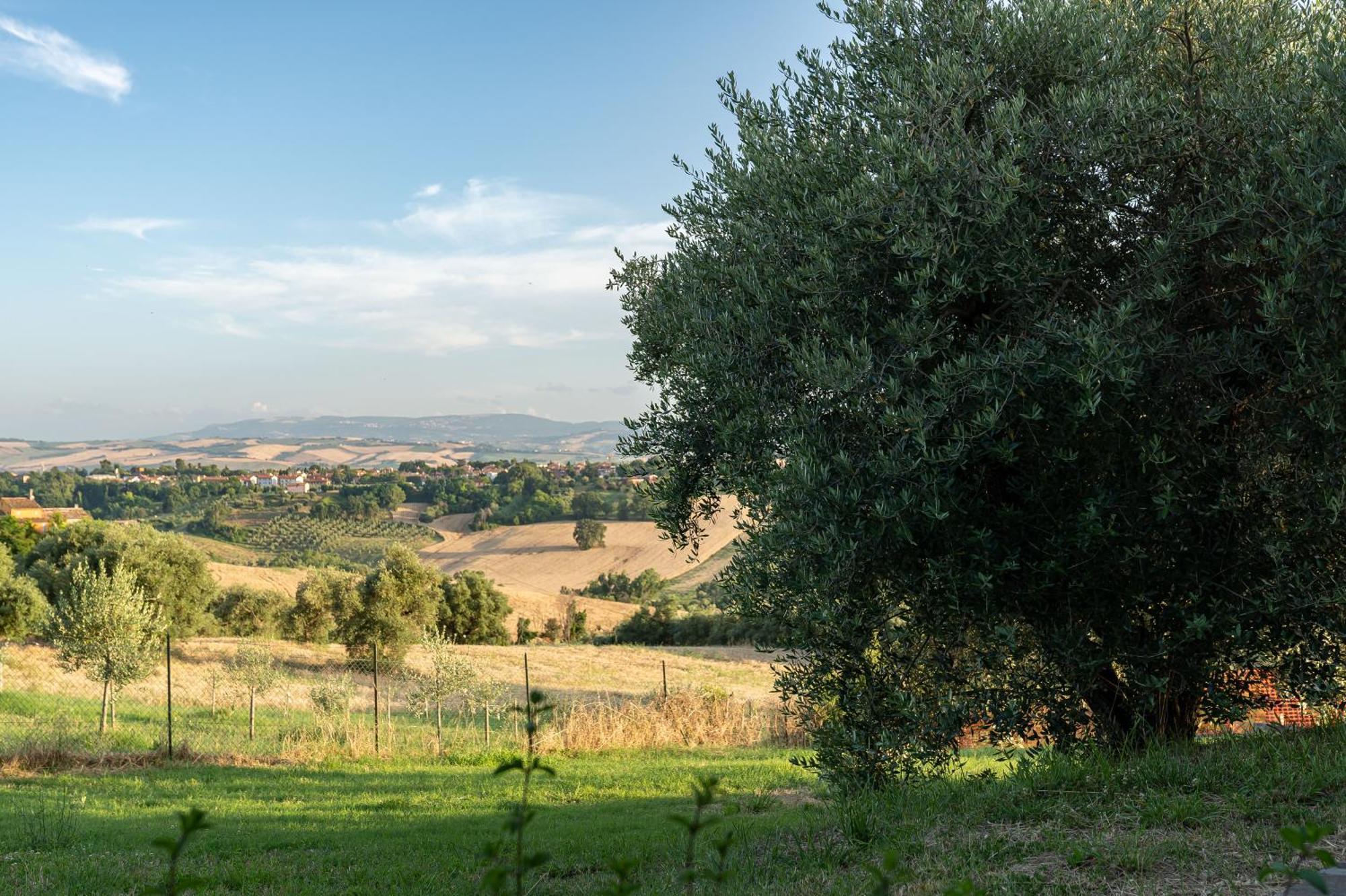 B&B La Figuretta Jesi Esterno foto
