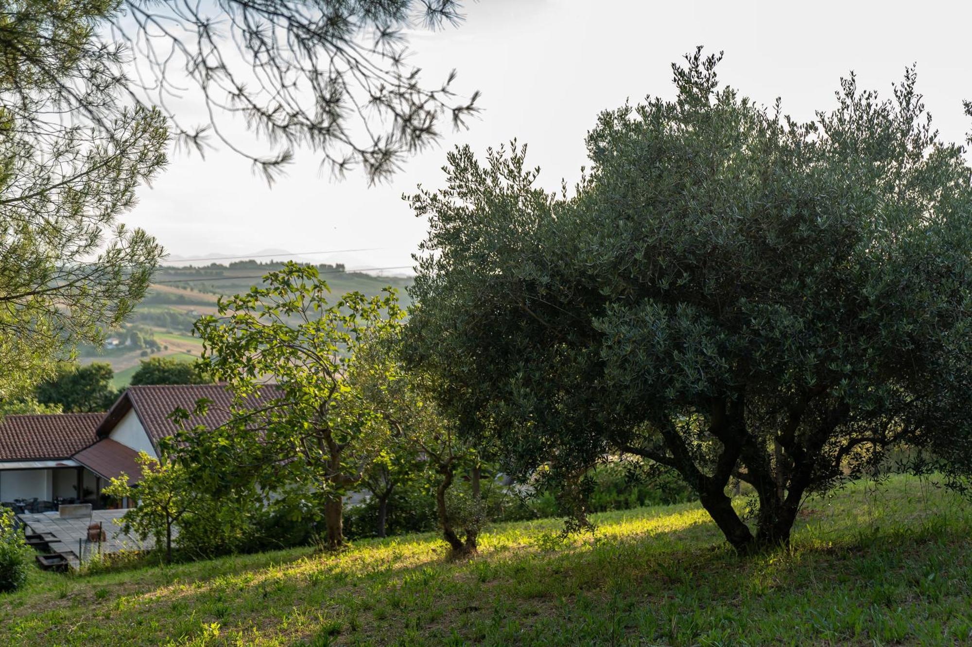 B&B La Figuretta Jesi Esterno foto